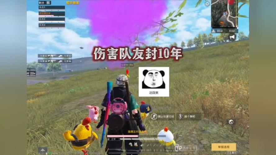 和平精英《太极》辅助